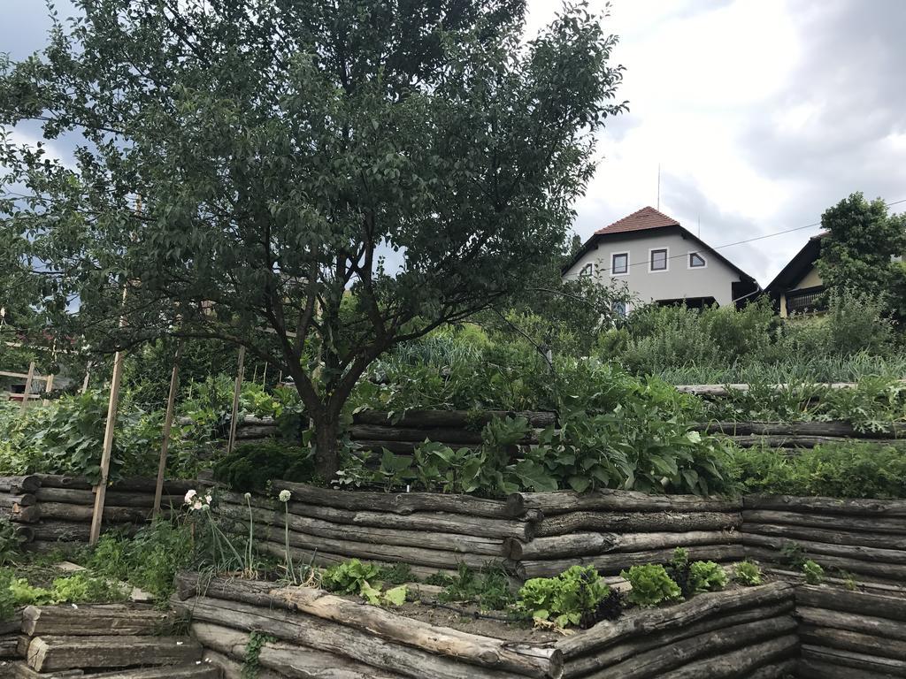 Glamping Laško Exteriér fotografie